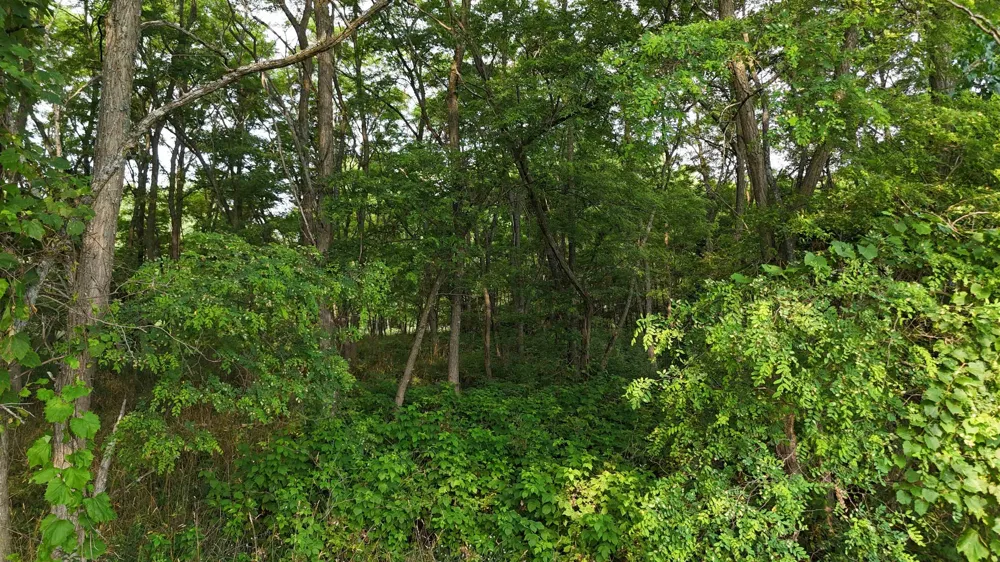 7801 S West Bay Shore Drive Leelanau Township, MI 49670