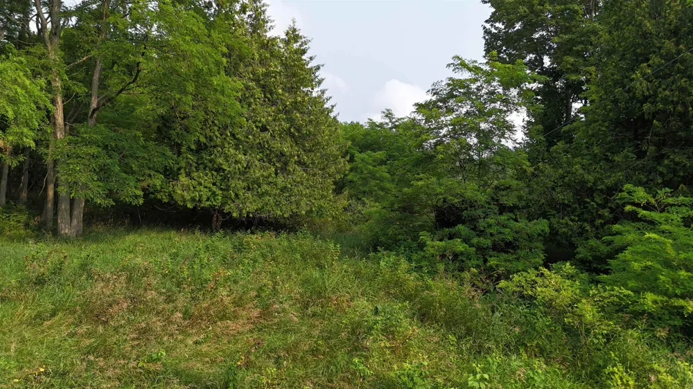 7801 S West Bay Shore Drive Leelanau Township, MI 49670