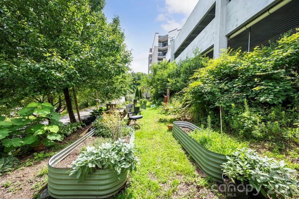 55 S Market Street #404 Asheville, NC 28801