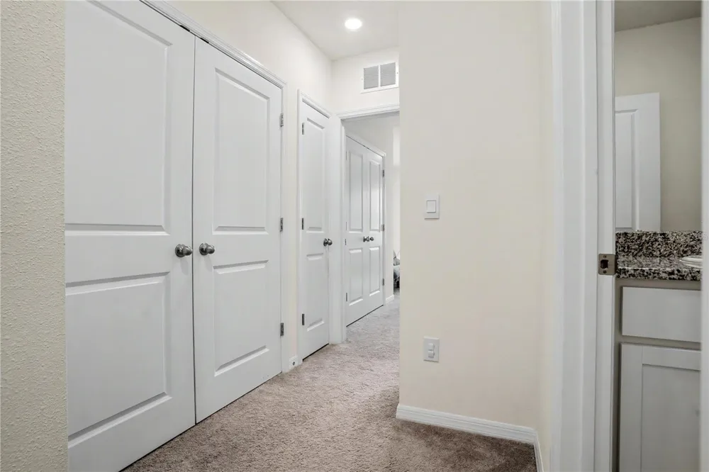 17238 AMBER ASPEN WAY Land O Lakes, FL 34638