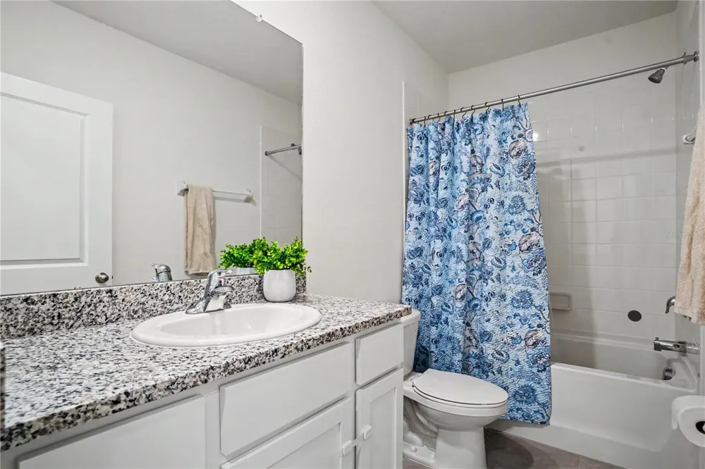 17238 AMBER ASPEN WAY Land O Lakes, FL 34638