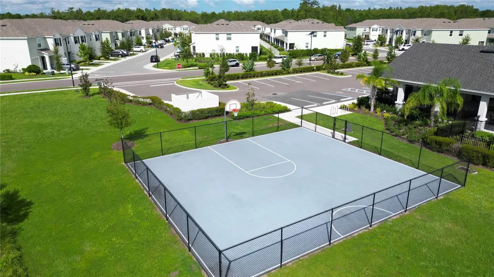 17238 AMBER ASPEN WAY Land O Lakes, FL 34638