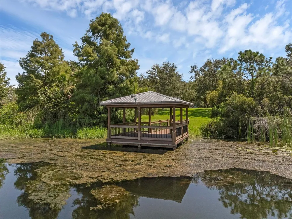 4718 BLUE MAJOR DRIVE Windermere, FL 34786