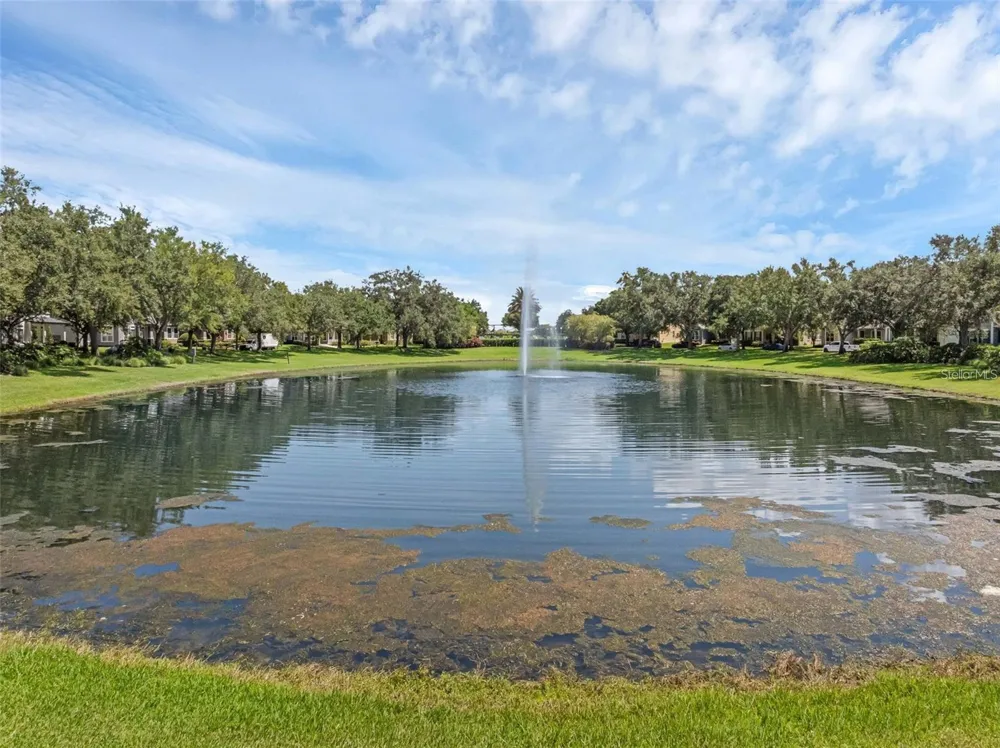 4718 BLUE MAJOR DRIVE Windermere, FL 34786