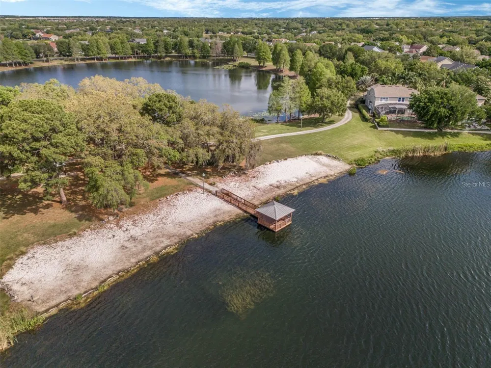 4718 BLUE MAJOR DRIVE Windermere, FL 34786