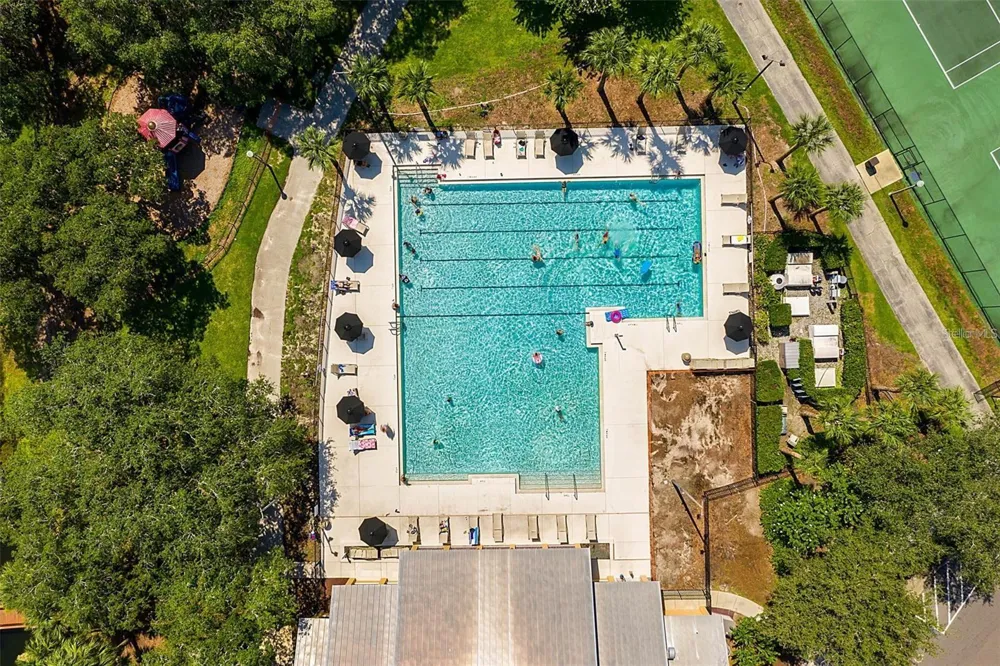 4718 BLUE MAJOR DRIVE Windermere, FL 34786