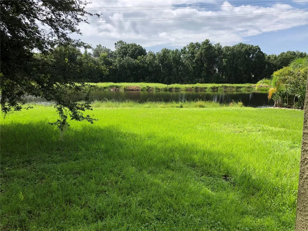 6509 BRIDGECREST DRIVE Lithia, FL 33547