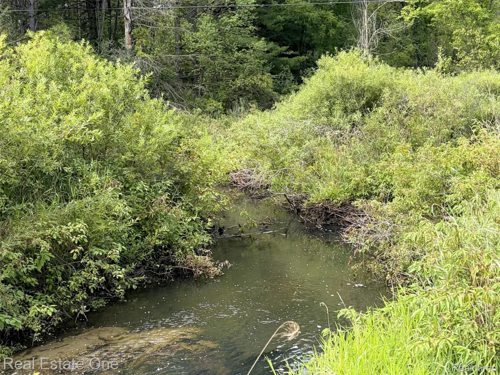 1275 Rosell Road Rose Township, MI 48442