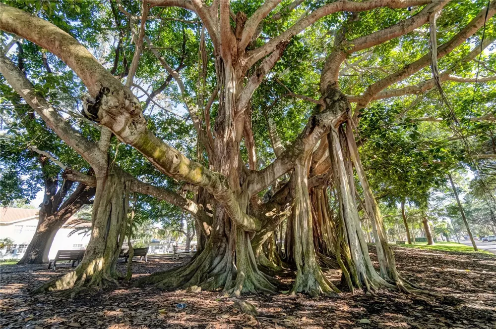 460 BASE AVENUE E #128 Venice, FL 34285