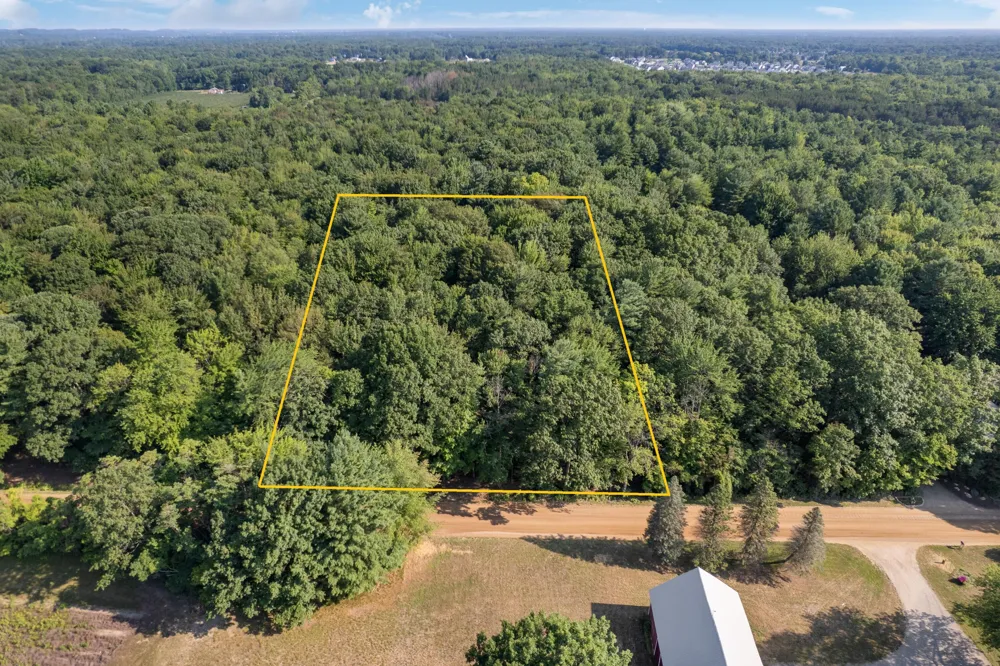 Buchanan West Olive, MI 49460