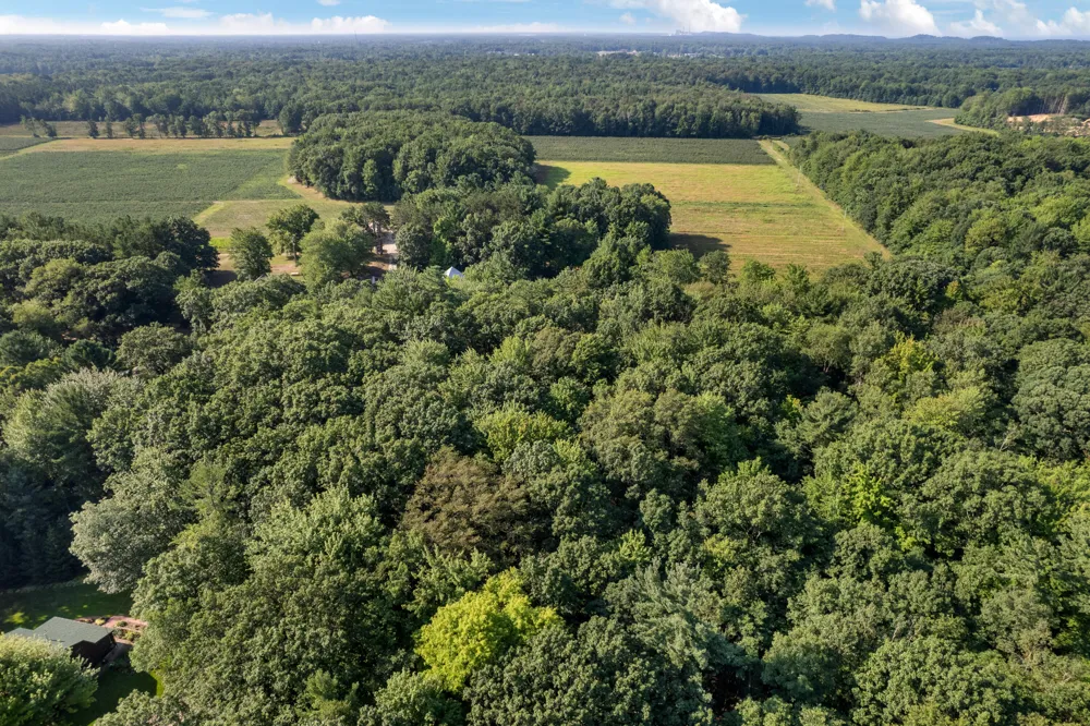 Buchanan West Olive, MI 49460