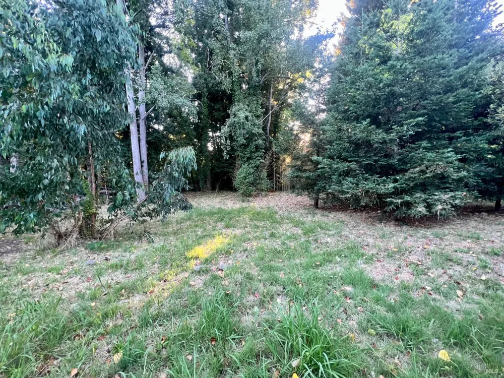6274 Van Keppel Road Forestville, CA 95436