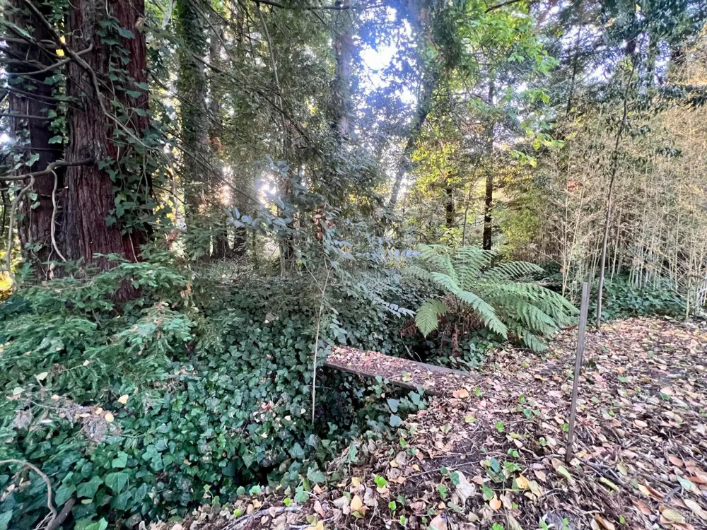 6274 Van Keppel Road Forestville, CA 95436