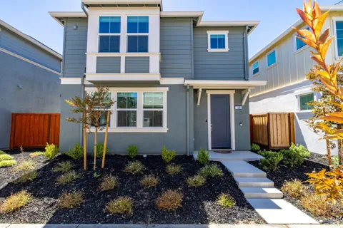 128 Clownfish Street