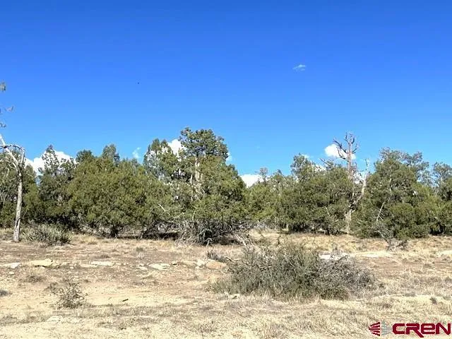 Road P Cortez, CO 81321