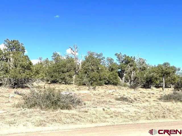 Road P Cortez, CO 81321