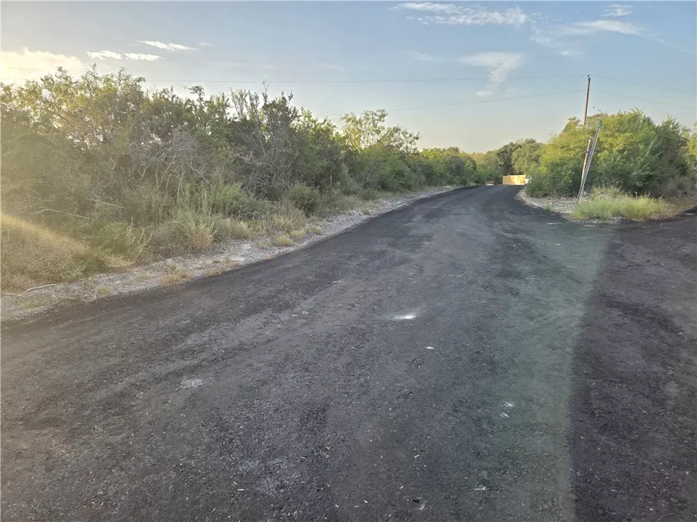 118 Minson Drive Sandia, TX 78383