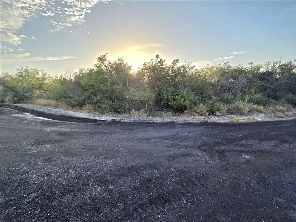 118 Minson Drive Sandia, TX 78383