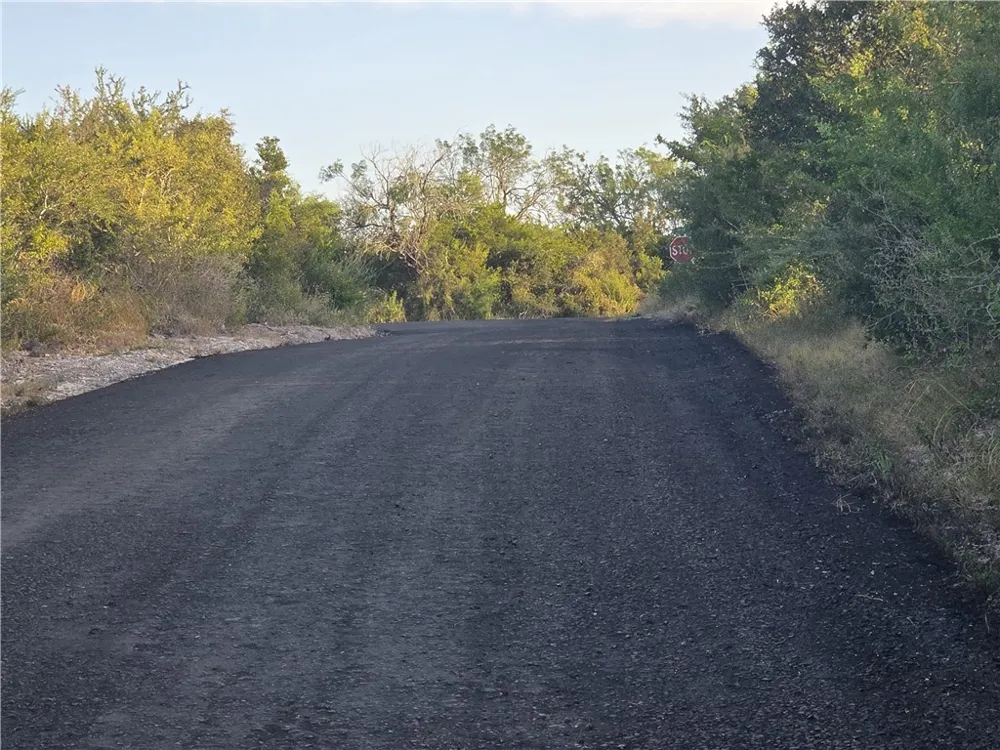 118 Minson Drive Sandia, TX 78383
