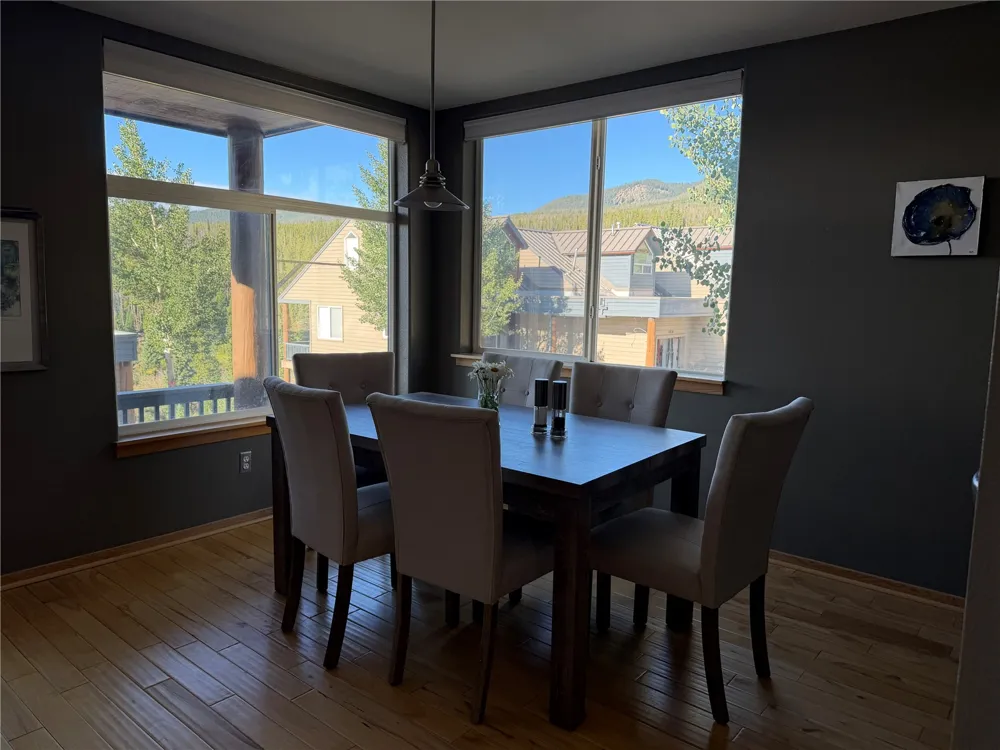 41 Deborah Lane #D Wildernest, CO 80498