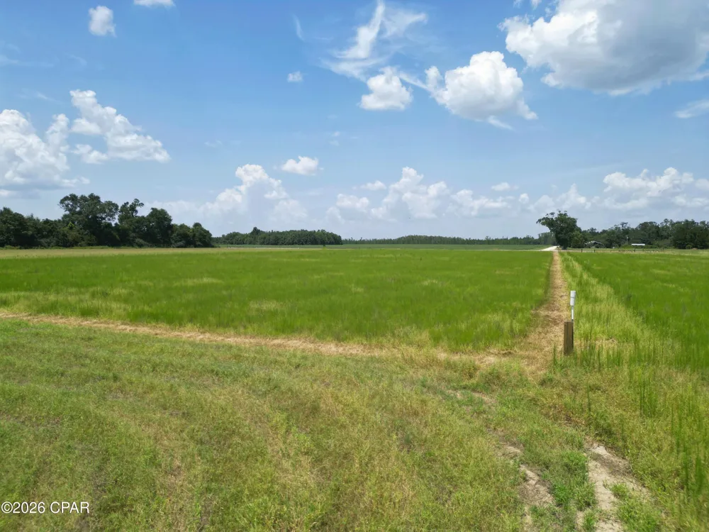 Cr 69a Blountstown, FL 32424