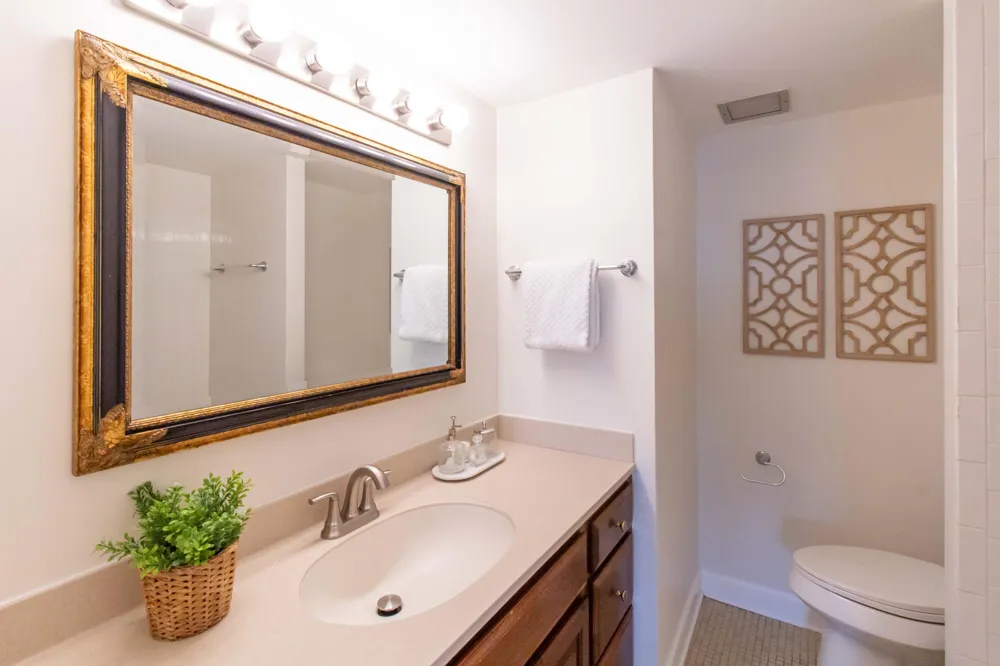555 E William Street ##17D/E Ann Arbor, MI 48104