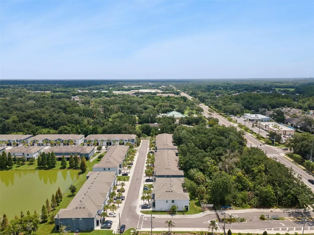 3349 PLEASANT WILLOW COURT Brandon, FL 33511