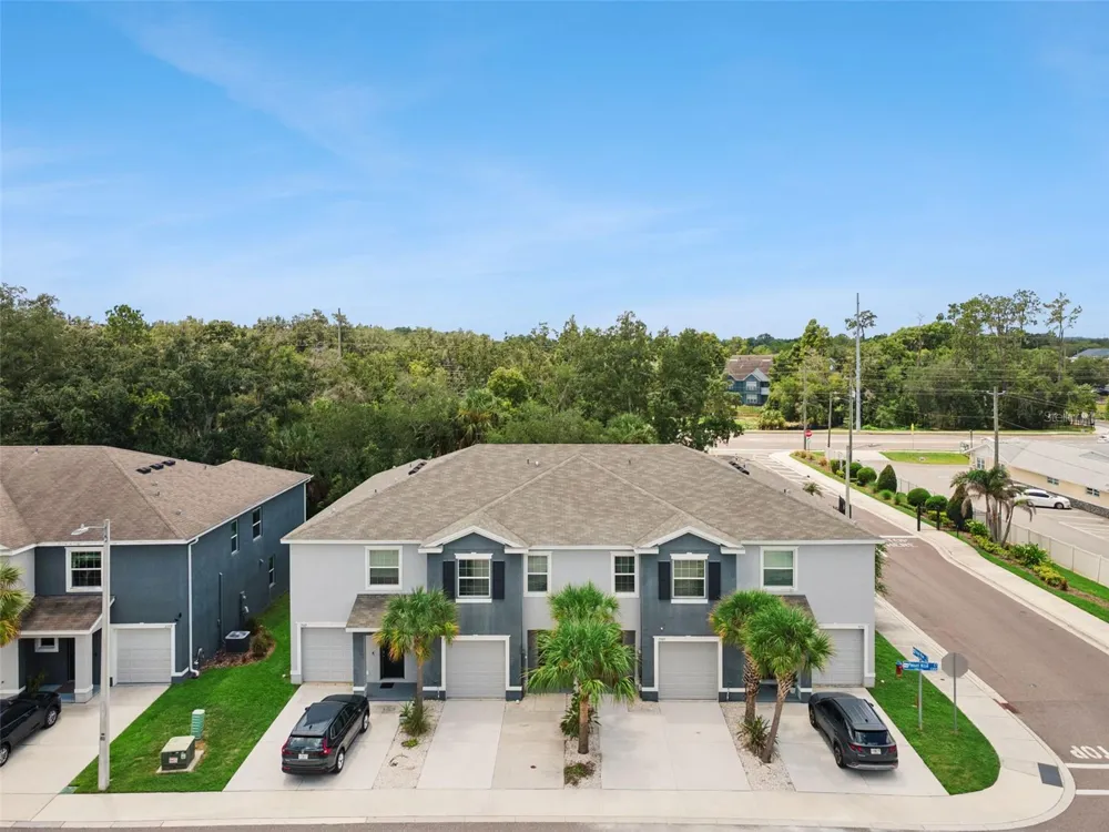 3349 PLEASANT WILLOW COURT Brandon, FL 33511