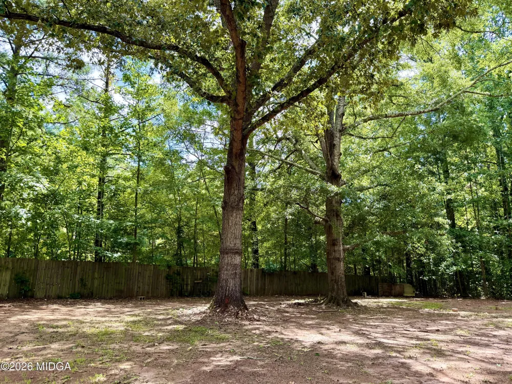 1244 Smith Road Forsyth, GA 31029