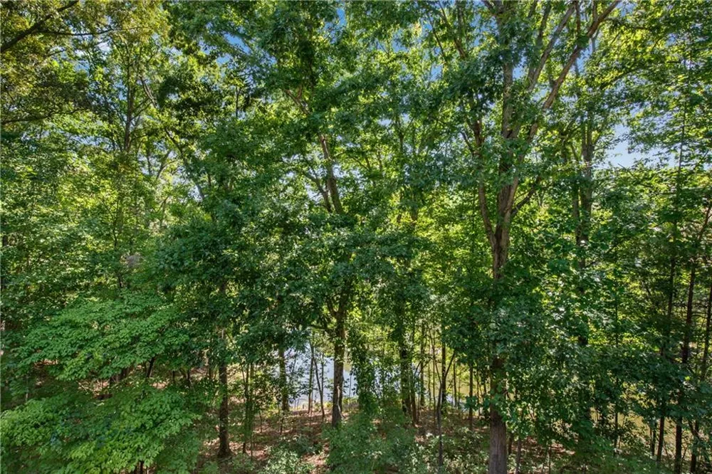 1300 Soap Creek Road Ball Ground, GA 30107