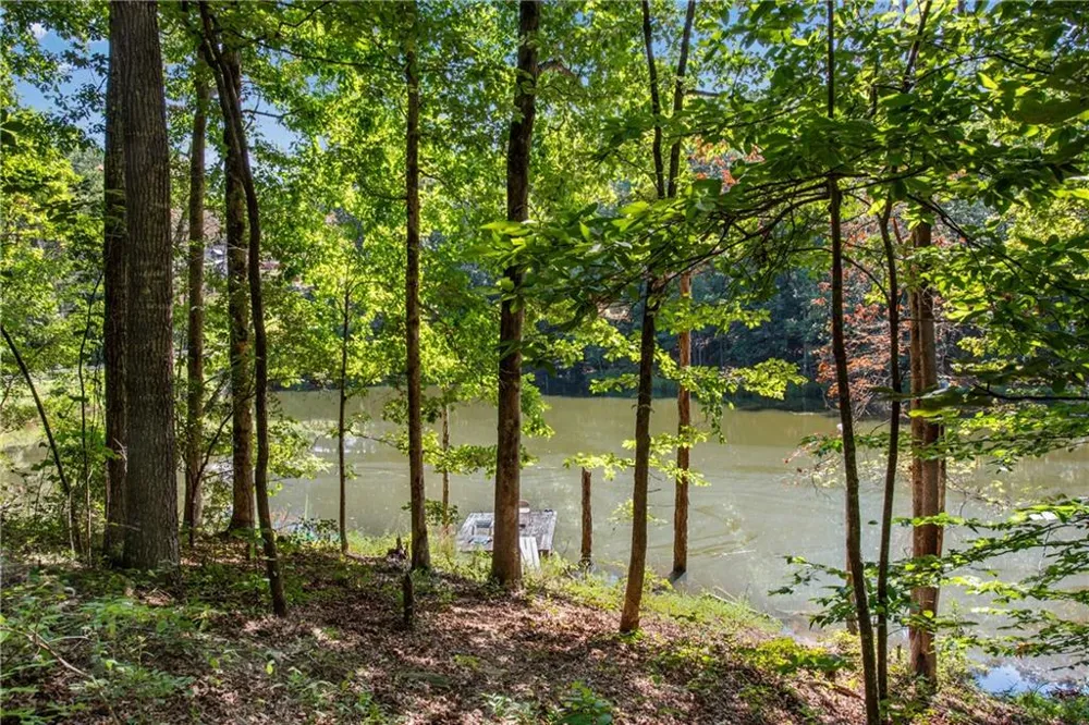 1300 Soap Creek Road Ball Ground, GA 30107