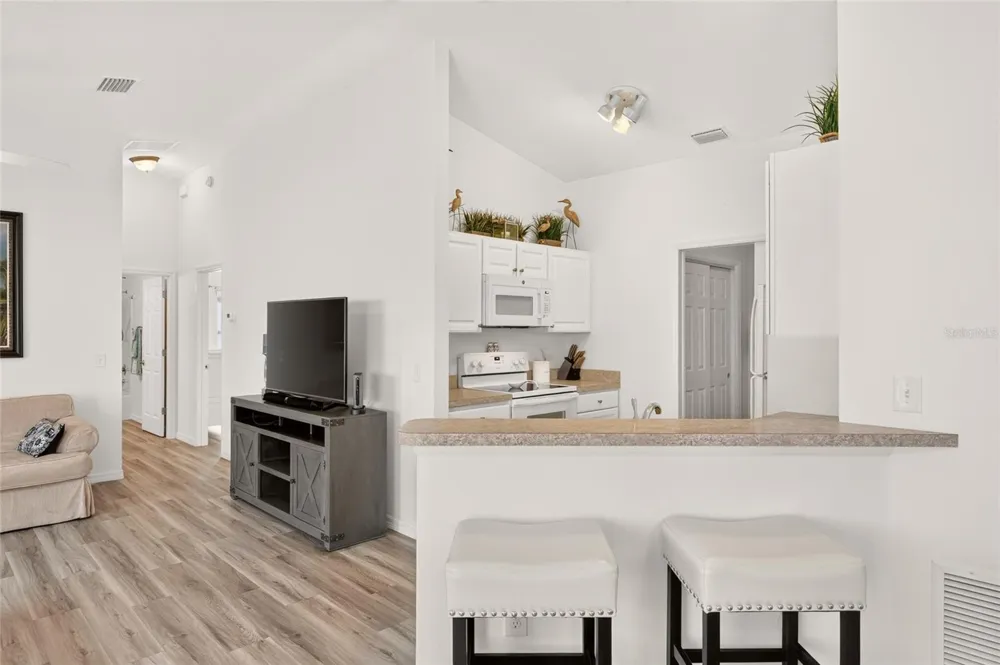 1380 ZEST AVENUE The Villages, FL 32163