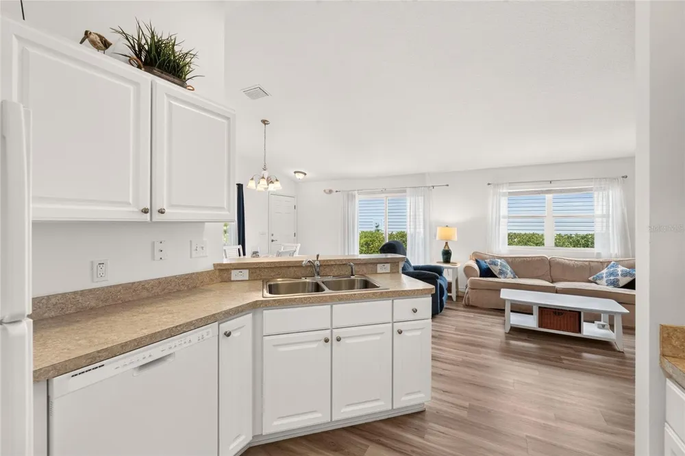 1380 ZEST AVENUE The Villages, FL 32163