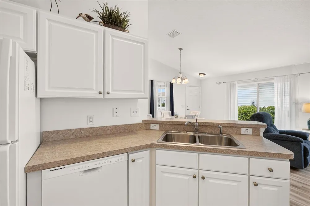 1380 ZEST AVENUE The Villages, FL 32163