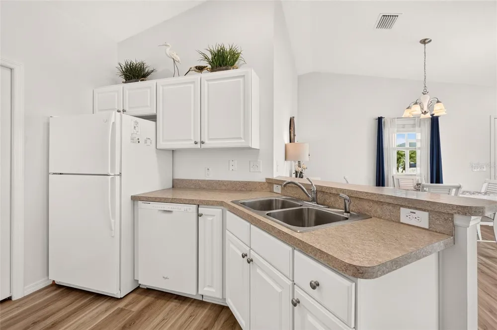 1380 ZEST AVENUE The Villages, FL 32163
