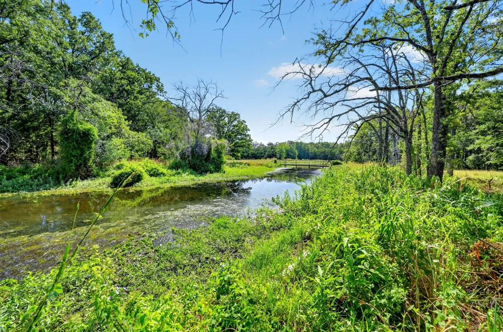 10148 Bluebonnet Drive Scurry, TX 75158