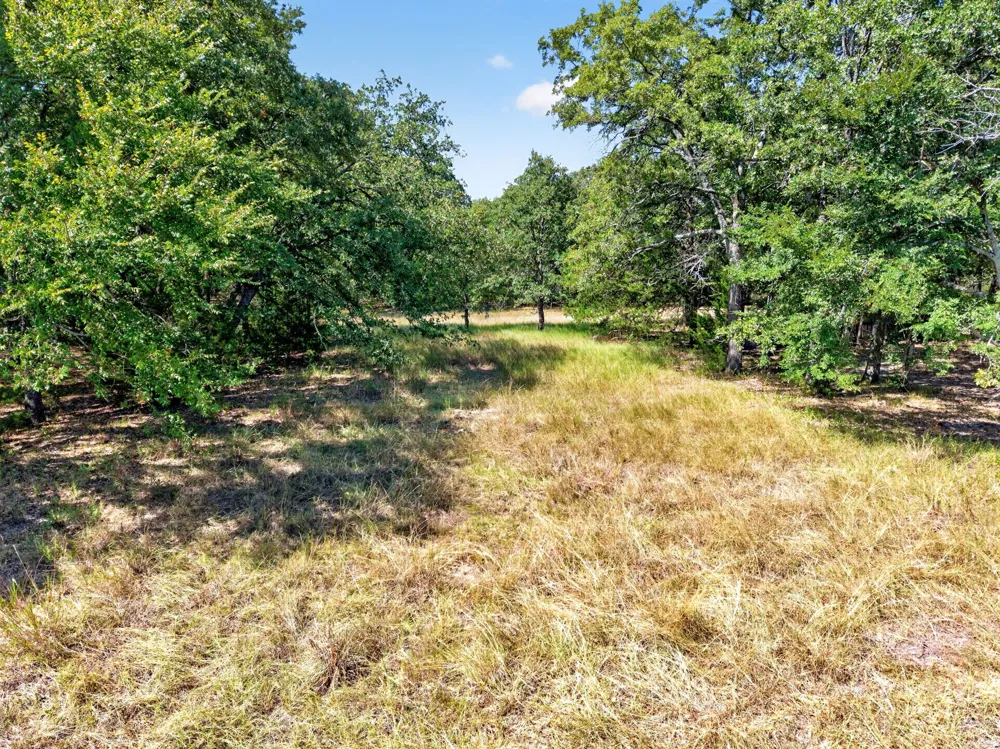 10148 Bluebonnet Drive Scurry, TX 75158