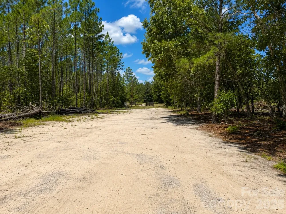 3203 Landfill Road Mount Croghan, SC 29727