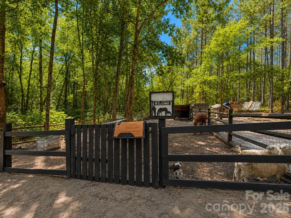 3203 Landfill Road Mount Croghan, SC 29727