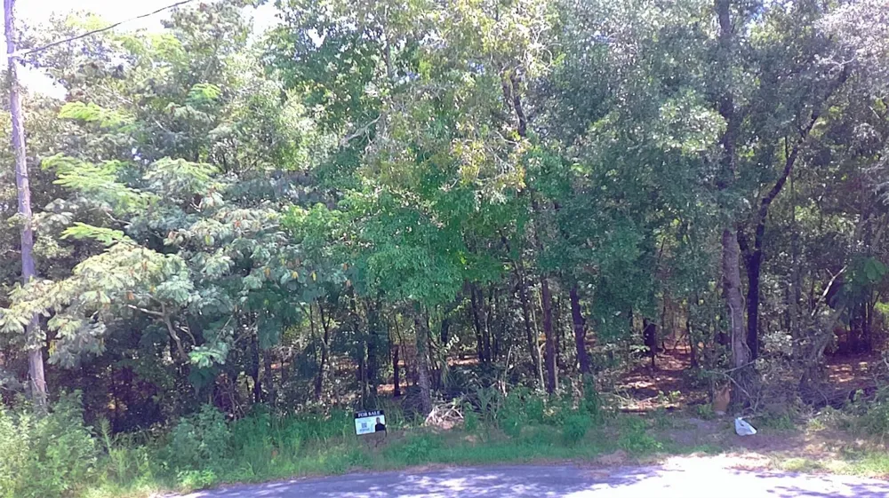 0 PINE TERRACE ocala, FL 34472