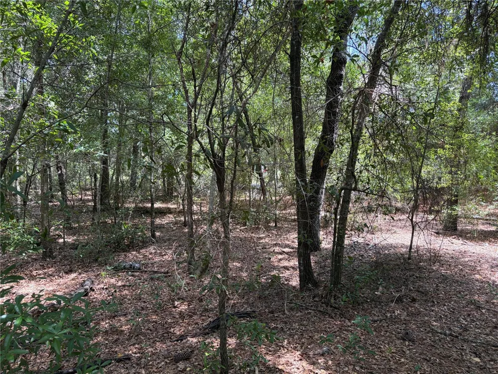 0 PINE TERRACE ocala, FL 34472
