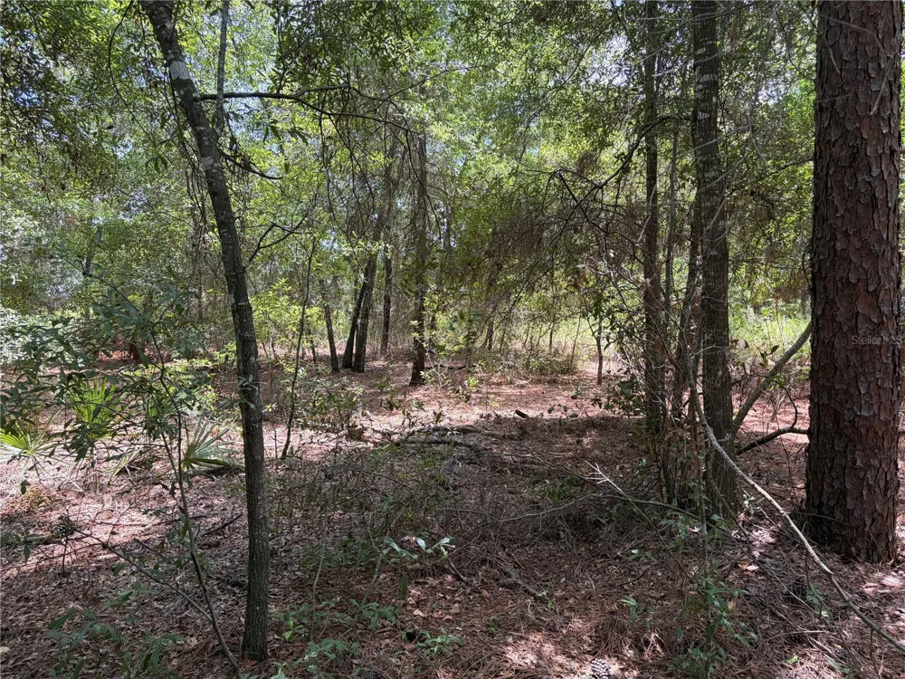 0 PINE TERRACE ocala, FL 34472