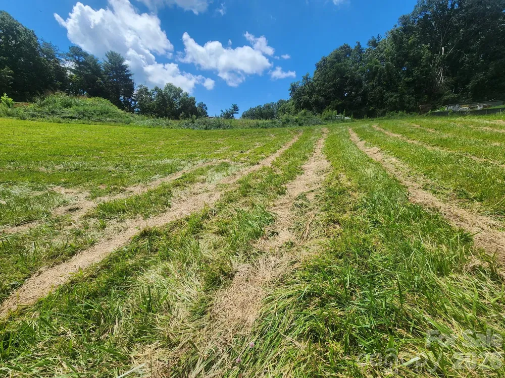 22 Setter Lane #3 Weaverville, NC 28787