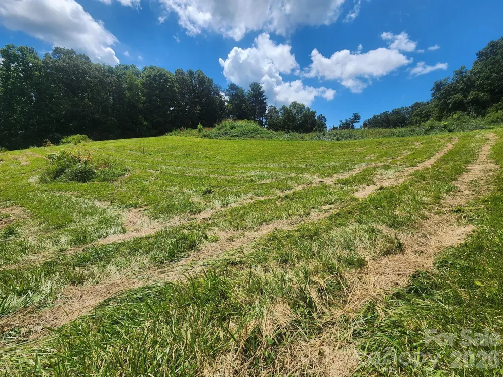 22 Setter Lane #3 Weaverville, NC 28787