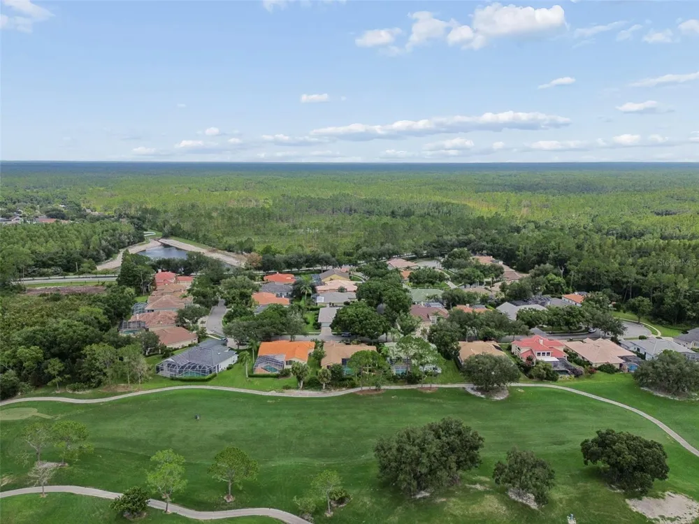 17714 GREY EAGLE ROAD Tampa, FL 33647