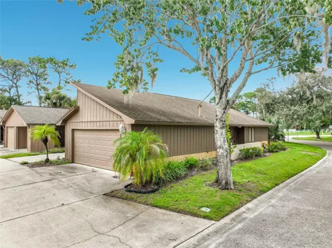 250 RAINTREE DRIVE