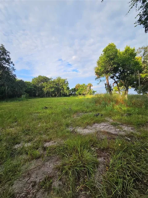 4003 COUNTY ROAD 426
