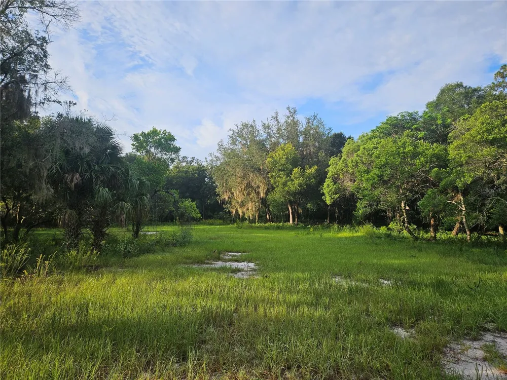 SNOW HILL RD ROAD Geneva, FL 32732