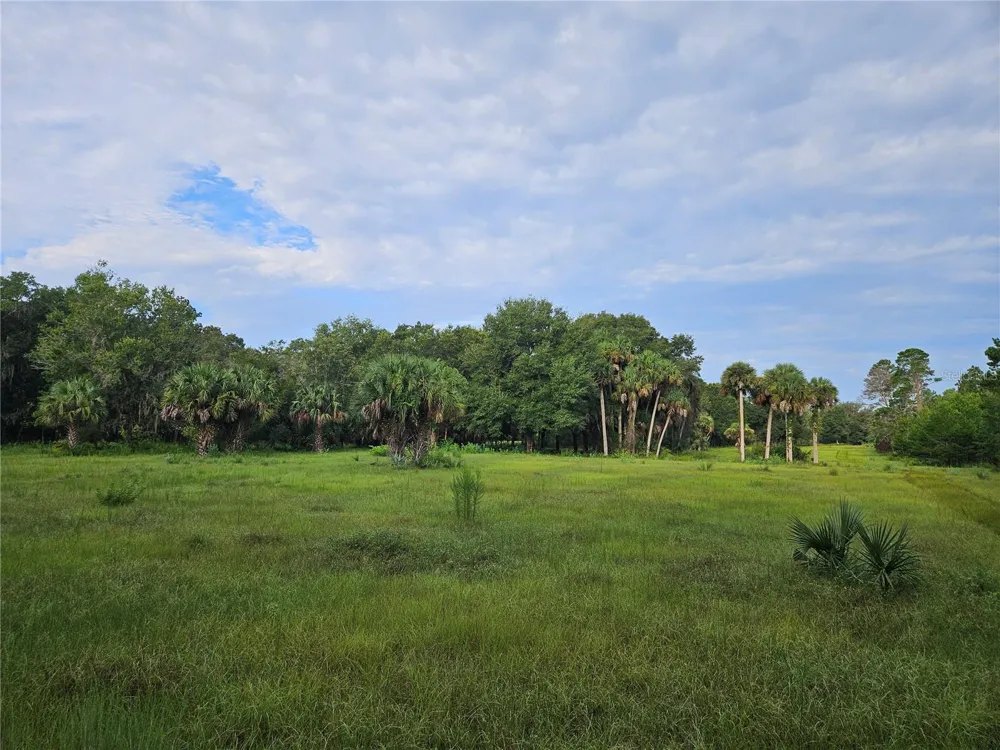SNOW HILL RD ROAD Geneva, FL 32732