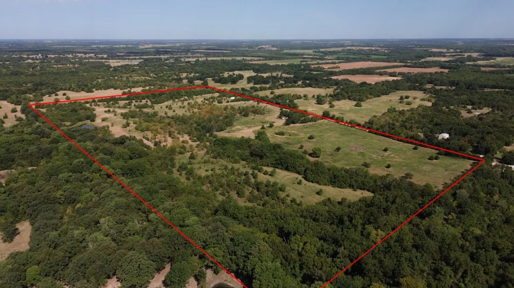 CR 3080 Ben Franklin, TX 75415